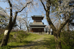 阿賀野市旧水原町にある観光スポット越後府があった天朝山（公園）の櫓と桜