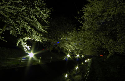 新江用水の夜桜